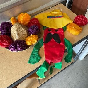 Cinco de Mayo wind sock